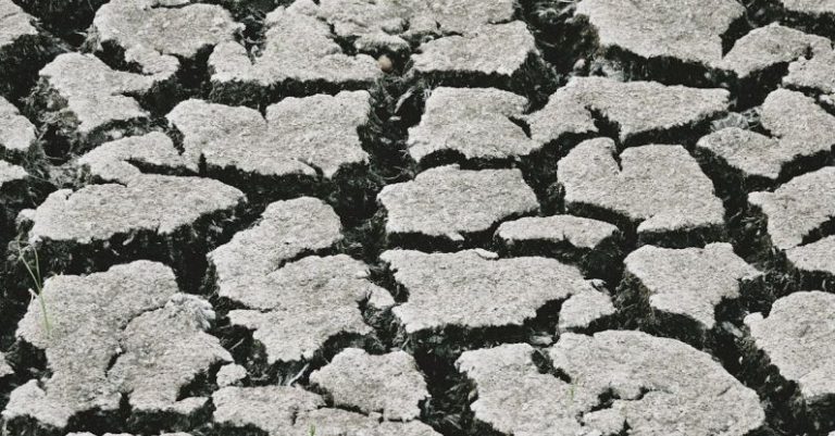 Dehydration - From above black and white abstract wallpaper of dry cracked solid ground in arid terrain